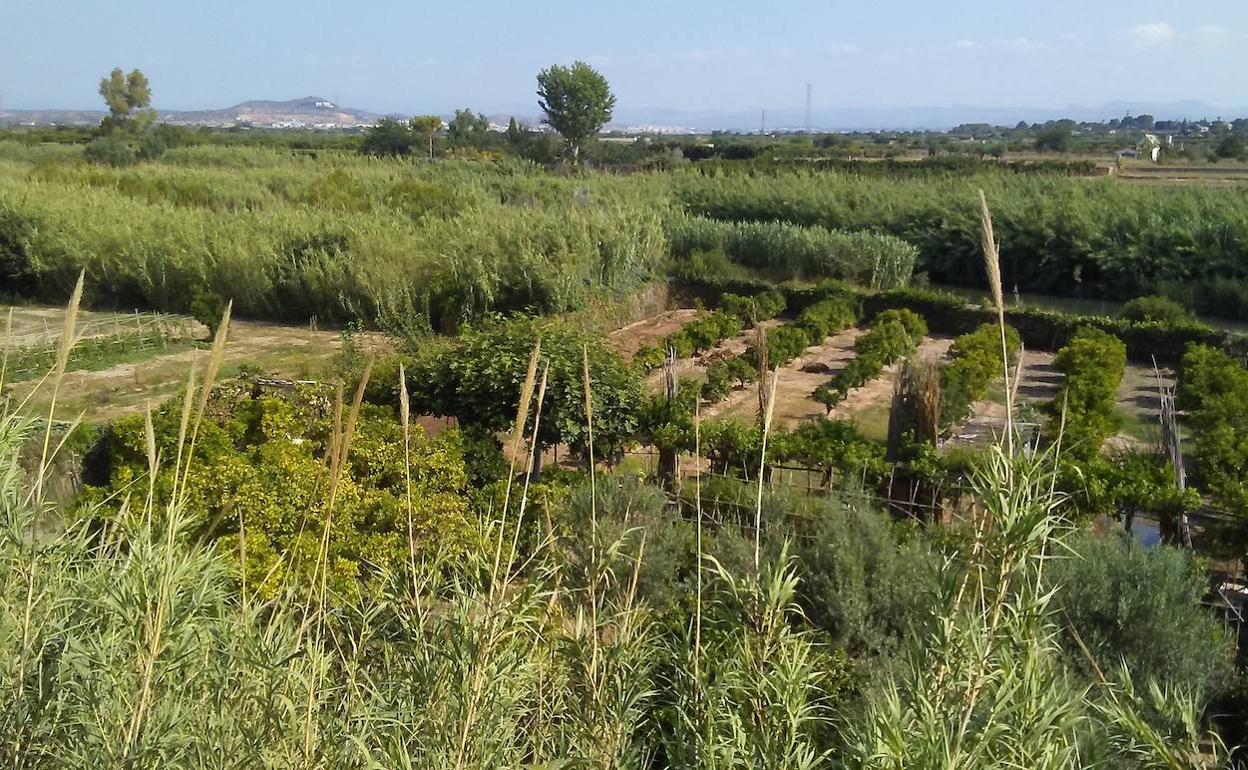 Terrenos en Riba-roja de Túria. 