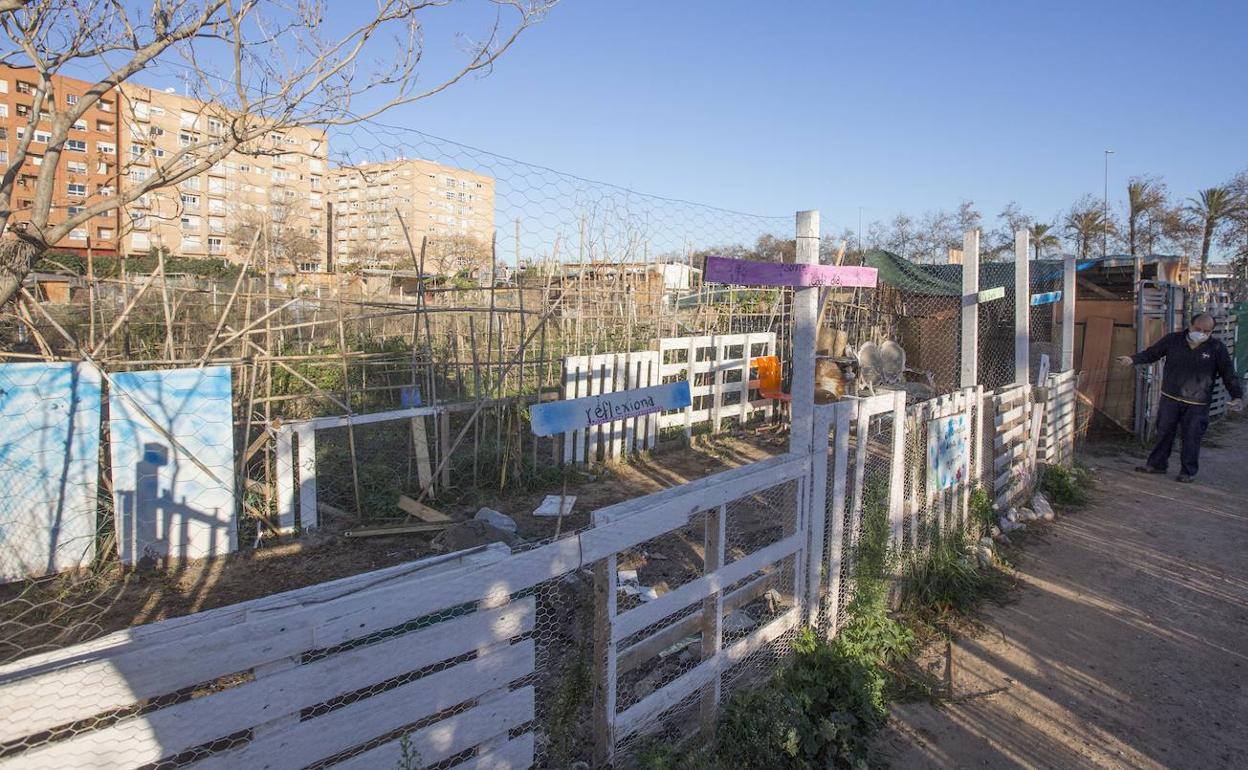 Barrio de Benimaclet, Valencia | La selva de huertos de Benimaclet