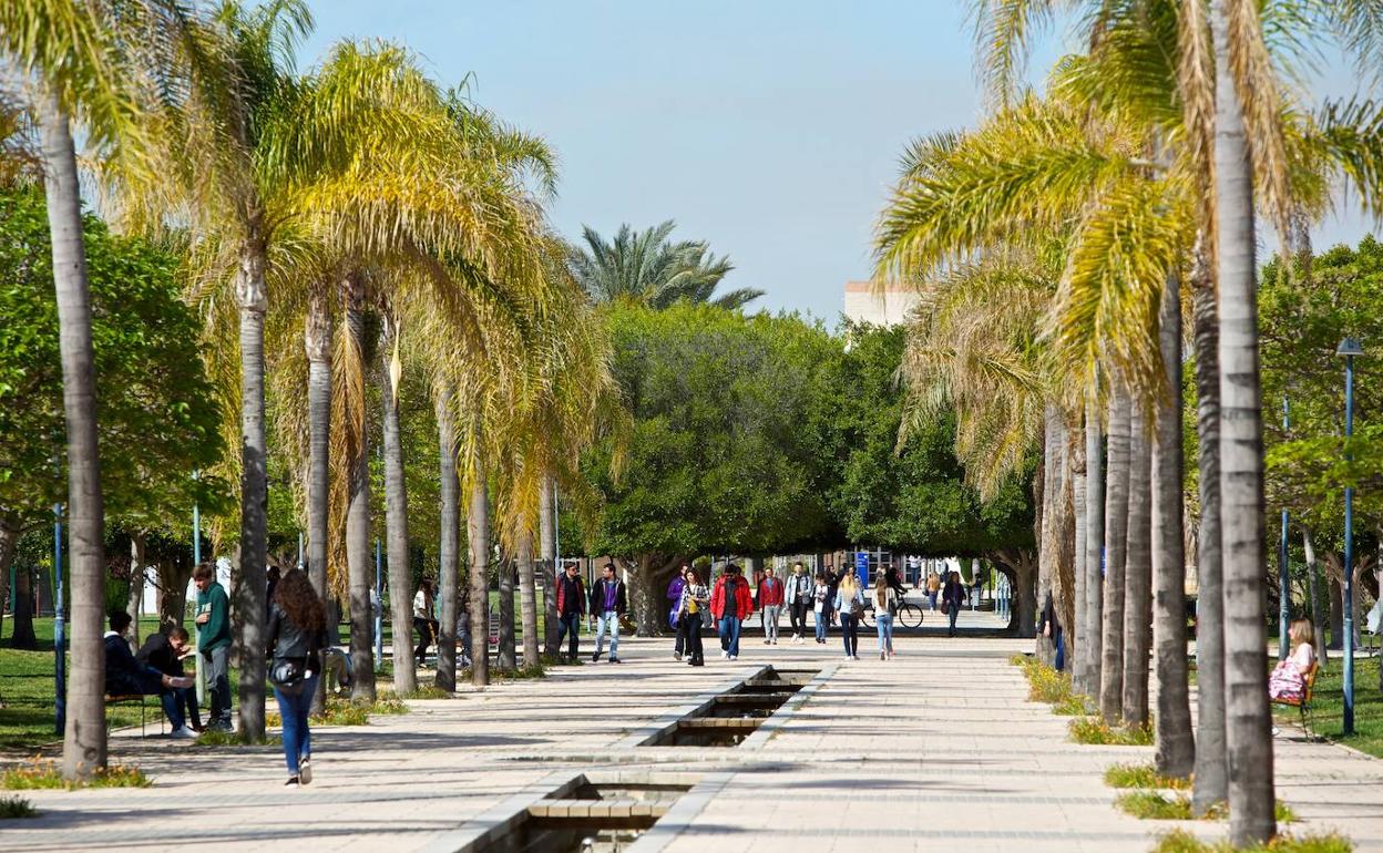 Campus de la UA en San Vicente del Raspeig. 