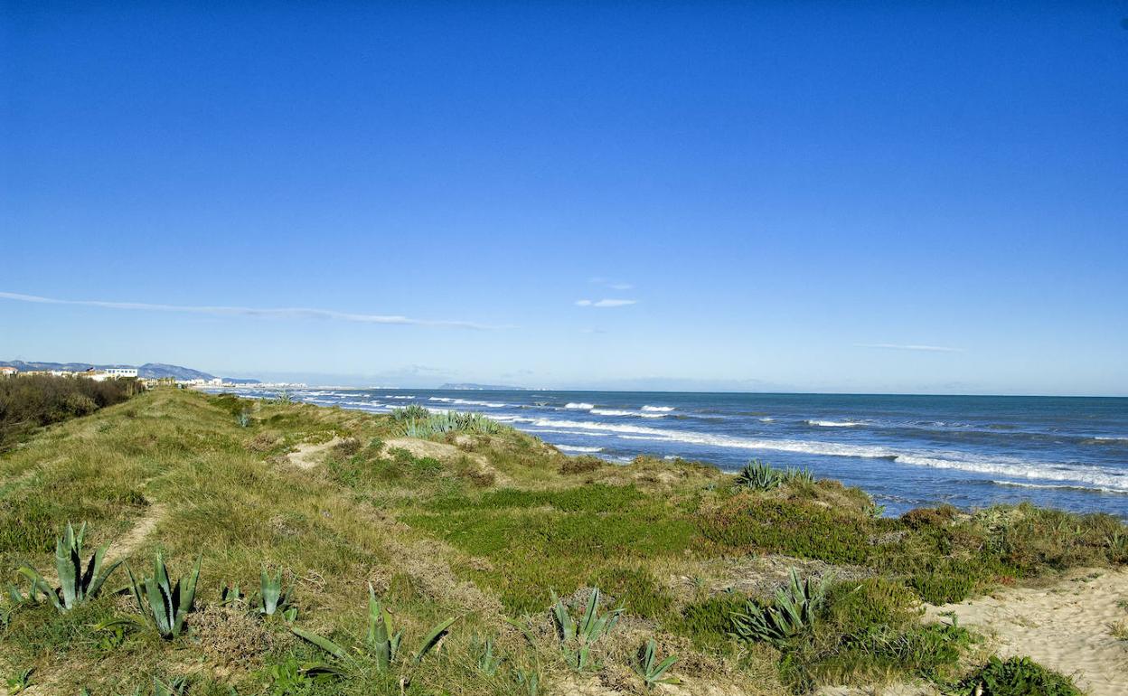 Dunas en la playa de Oliva. 