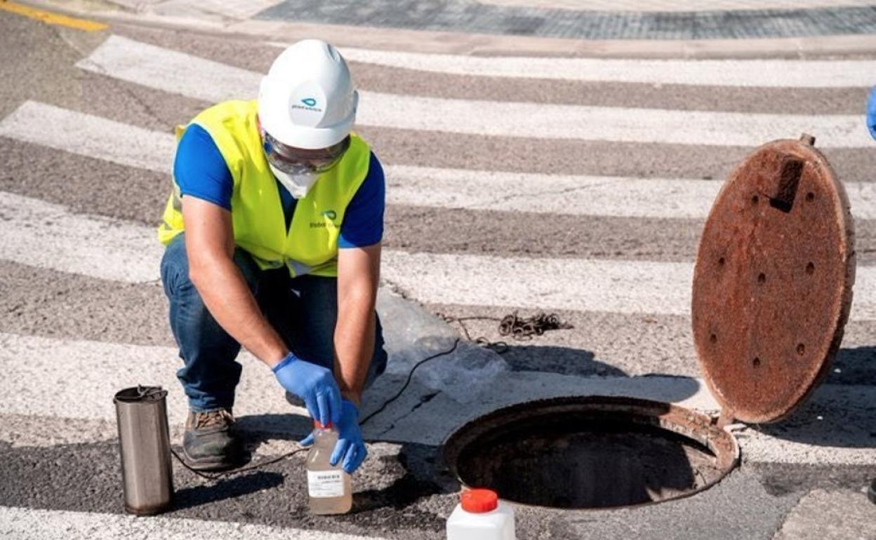 Un empleado extrae muestras de agua del alcantarillado público. 