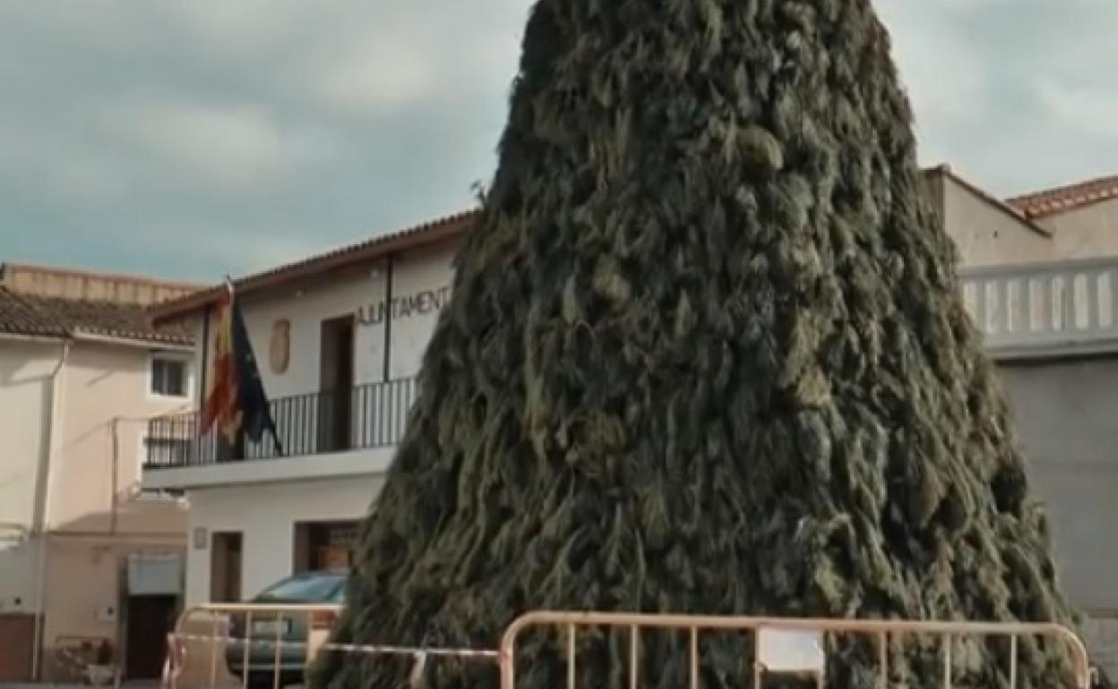 La hoguera de Sant Antoni de Cerdà ya está lista para la quema este sábado. 