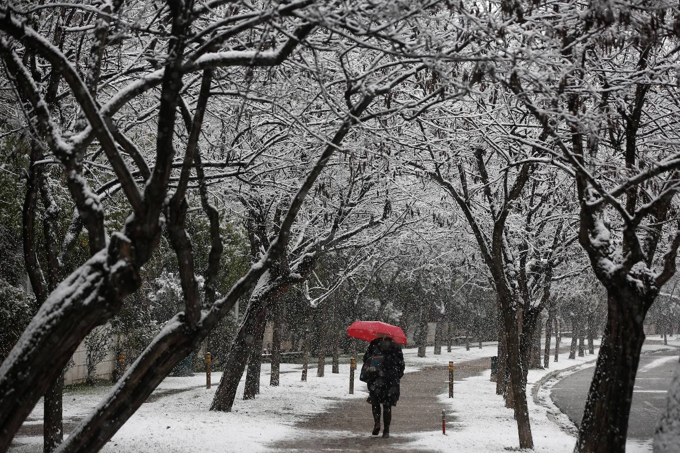 Nieve en Atenas provocada por la borrasca Elpis. 