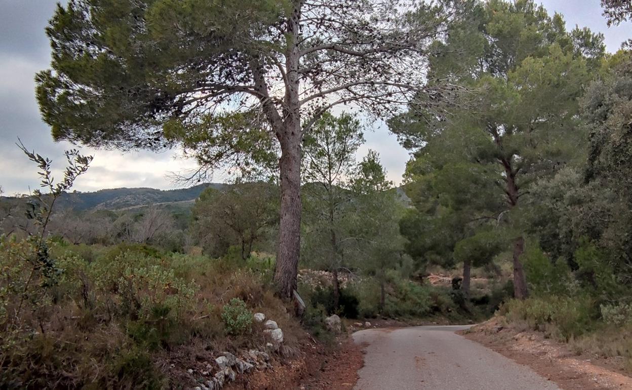 Los vecinos de Aielo temen perder uno de los espacios de gran valor ecológico, cultural y social. 