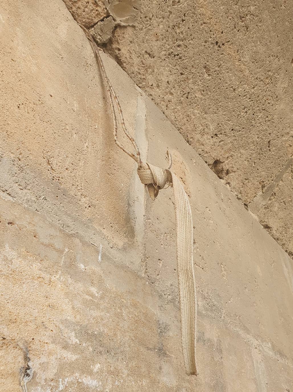 Los hierbajos y las humedades se adueñan de los puentes históricos del Jardín del Turia. 