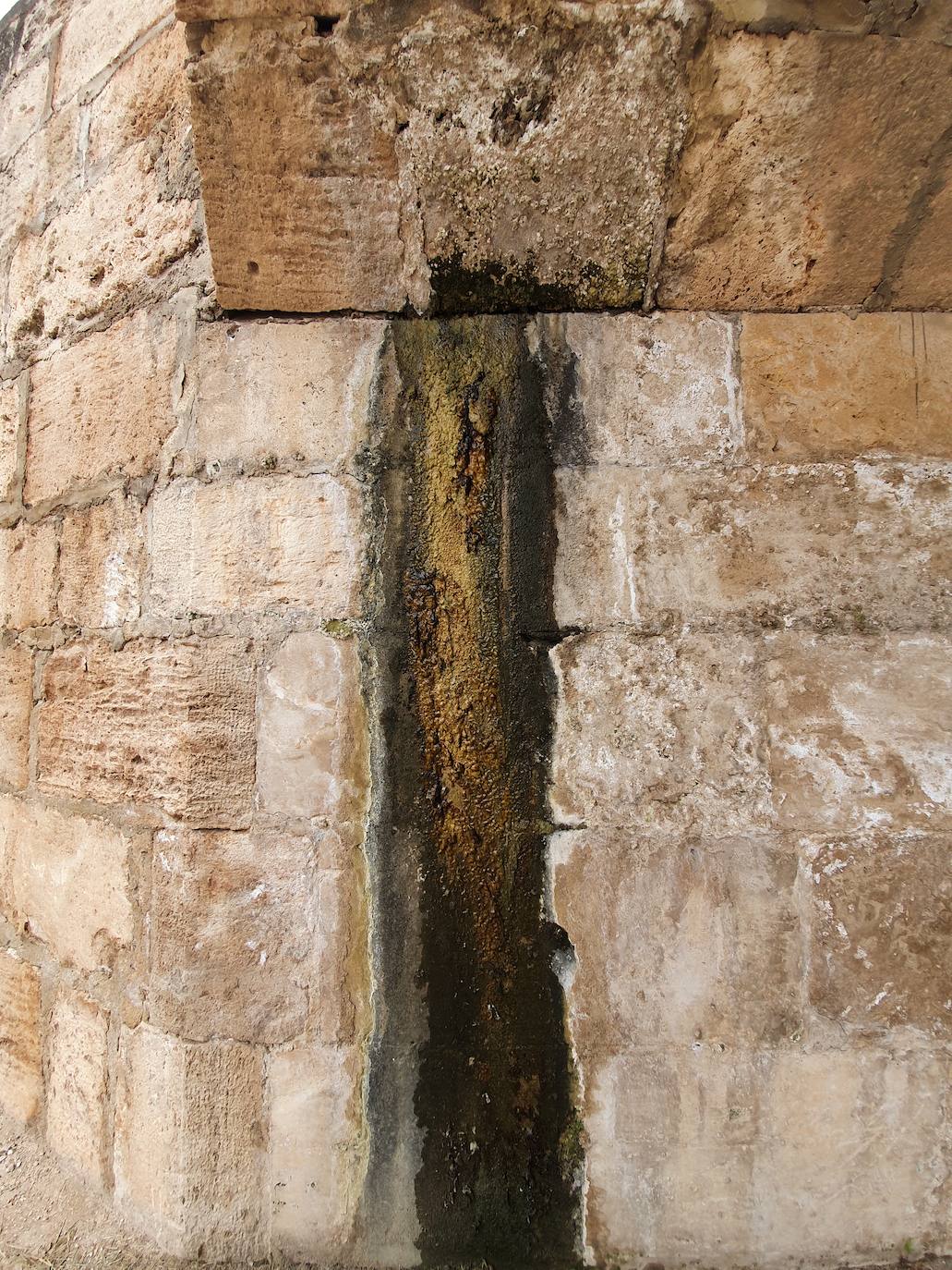 Los hierbajos y las humedades se adueñan de los puentes históricos del Jardín del Turia. 