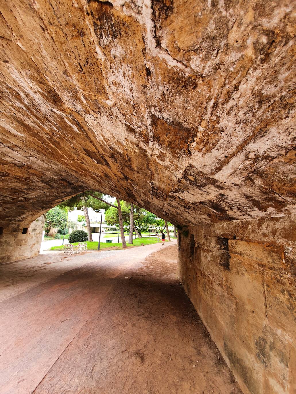 Los hierbajos y las humedades se adueñan de los puentes históricos del Jardín del Turia. 