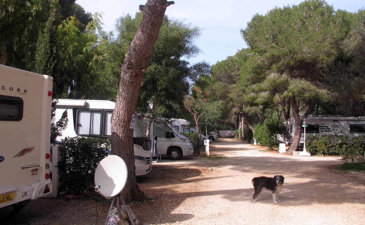 Caravanas en Los Pinos, uno de los tres campings que hay de momento en Dénia. 