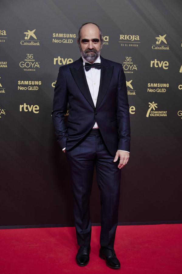 El actor Luis Tosar.