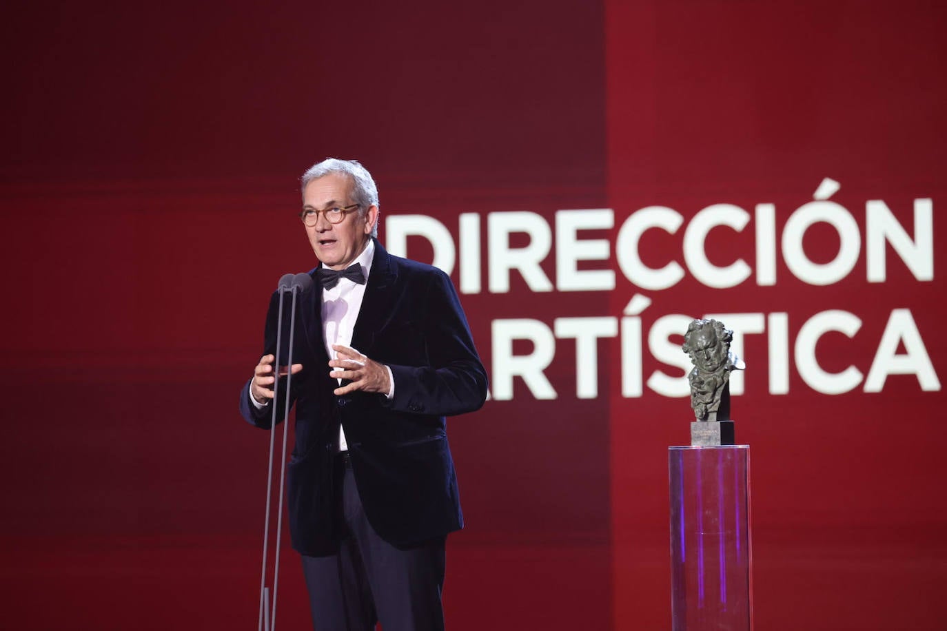 Fotos: Los Goya llenan de cine el Palau de Les Arts