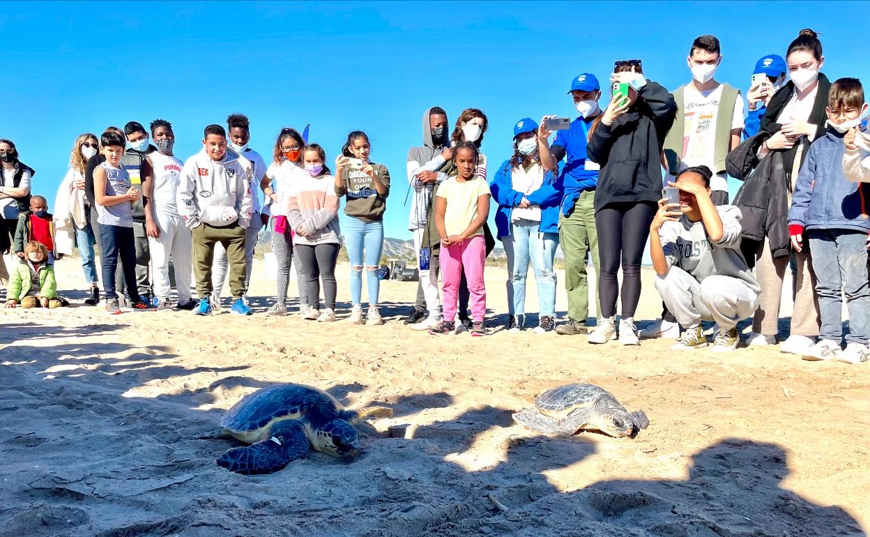 Asistentes a la suelta de tortugas en Gandia. 