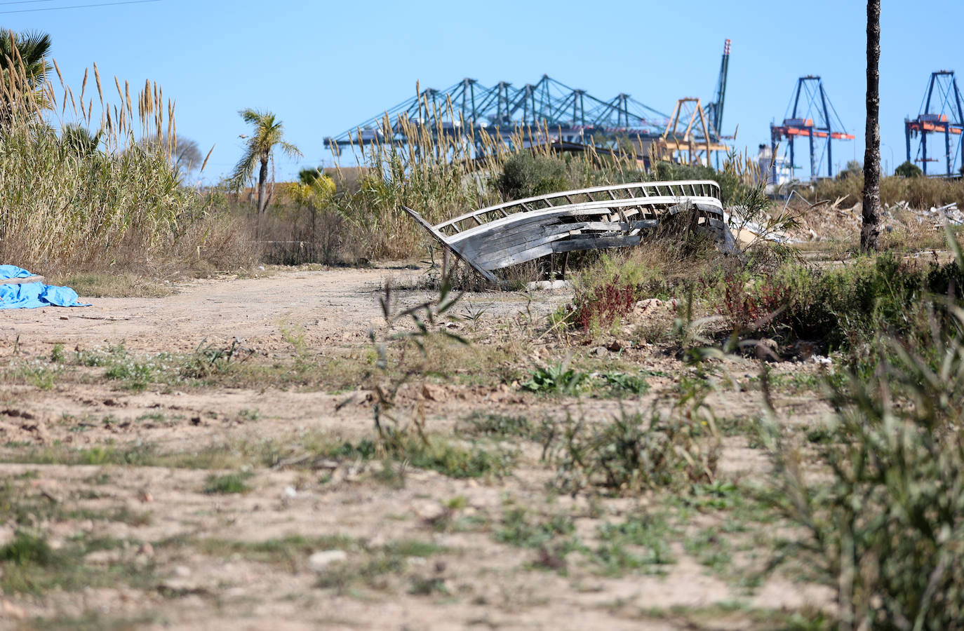 Diferencias. En l'Horta Sud proliferan cada vez más los campos abandonados y con maleza, mientras en l'Horta Nord se mantiene con primor donde se cultiva la chufa