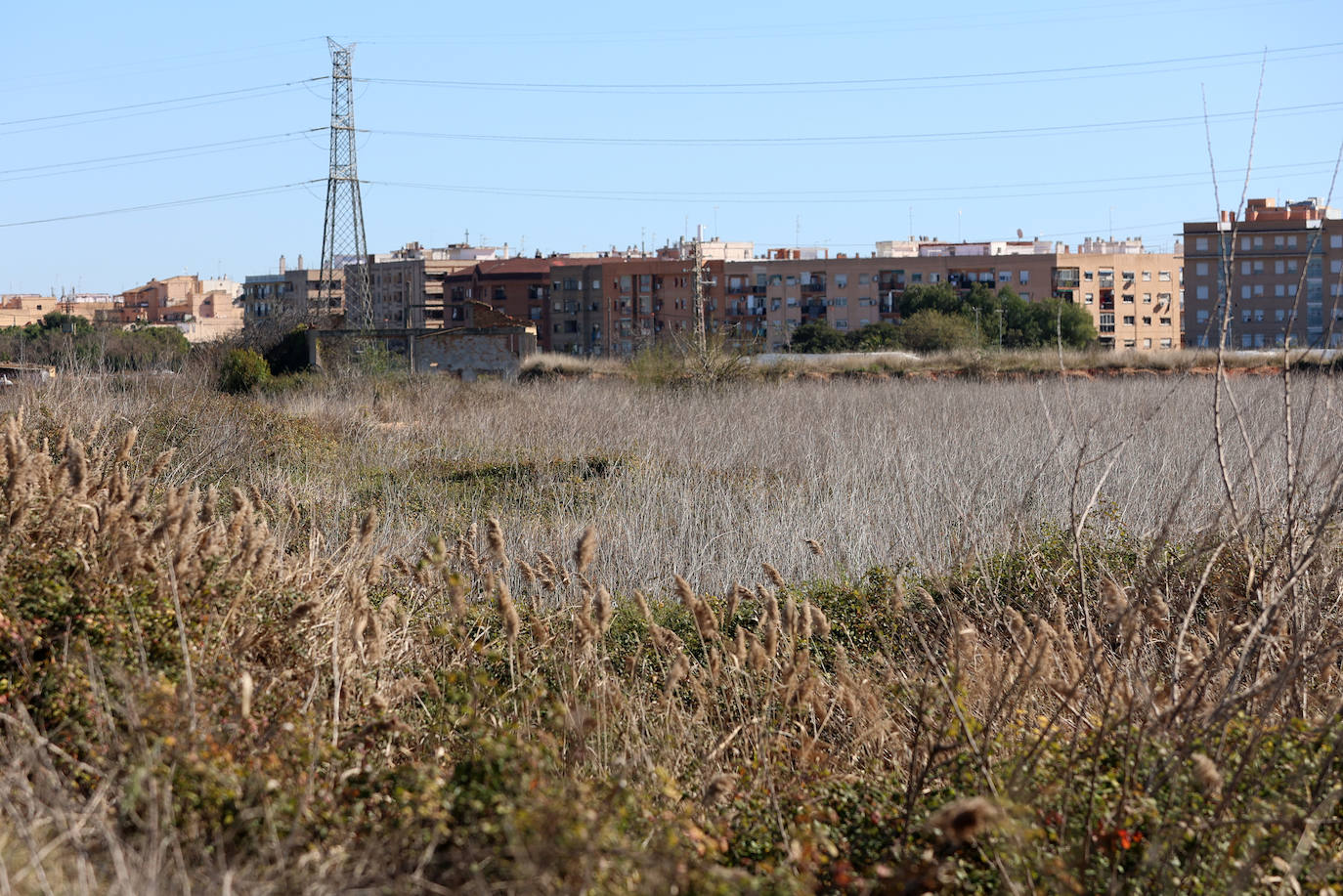 Diferencias. En l'Horta Sud proliferan cada vez más los campos abandonados y con maleza, mientras en l'Horta Nord se mantiene con primor donde se cultiva la chufa