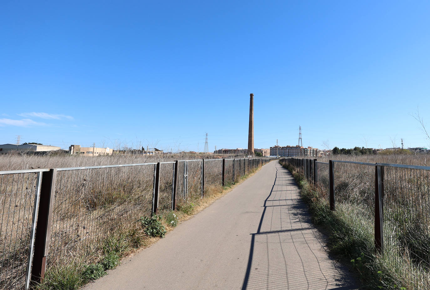 Diferencias. En l'Horta Sud proliferan cada vez más los campos abandonados y con maleza, mientras en l'Horta Nord se mantiene con primor donde se cultiva la chufa