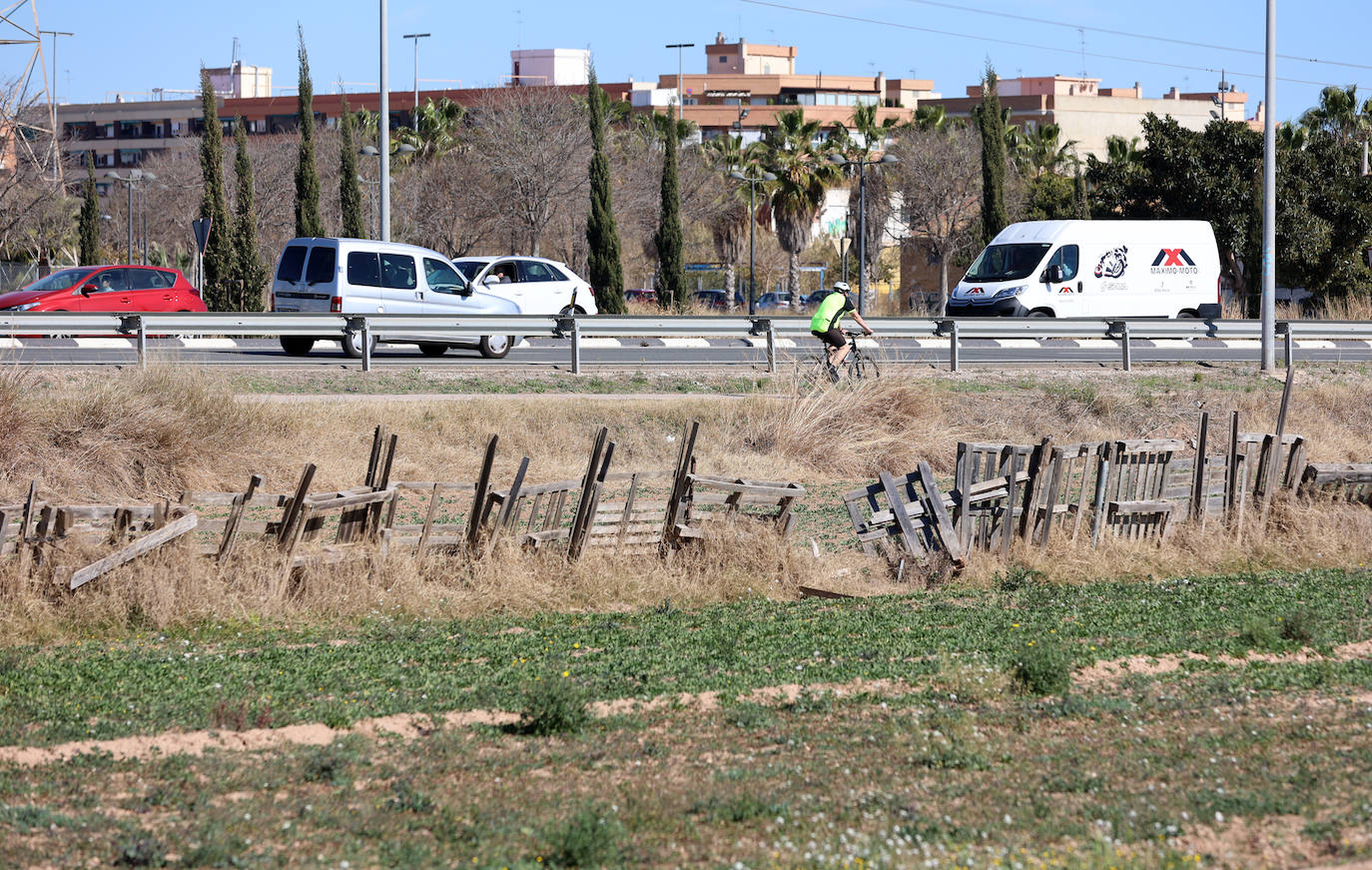 Diferencias. En l'Horta Sud proliferan cada vez más los campos abandonados y con maleza, mientras en l'Horta Nord se mantiene con primor donde se cultiva la chufa