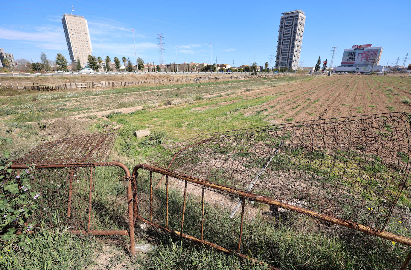 Diferencias. En l'Horta Sud proliferan cada vez más los campos abandonados y con maleza, mientras en l'Horta Nord se mantiene con primor donde se cultiva la chufa