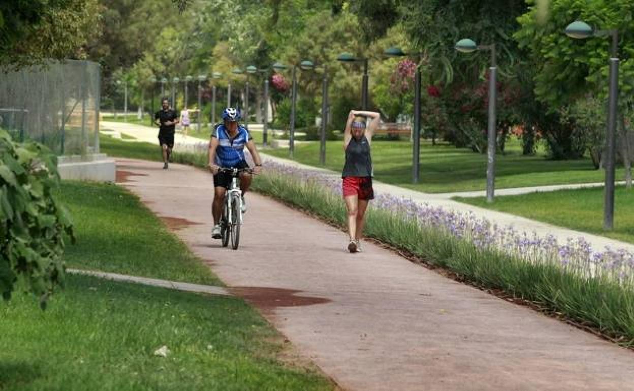 Valencia cuenta con el pulmón verde del viejo cauce del río Turia, ideal para la práctica de ejercicio. 