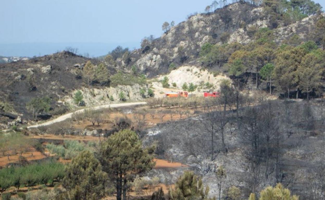 Zona afectada por el incendio de 2018. 