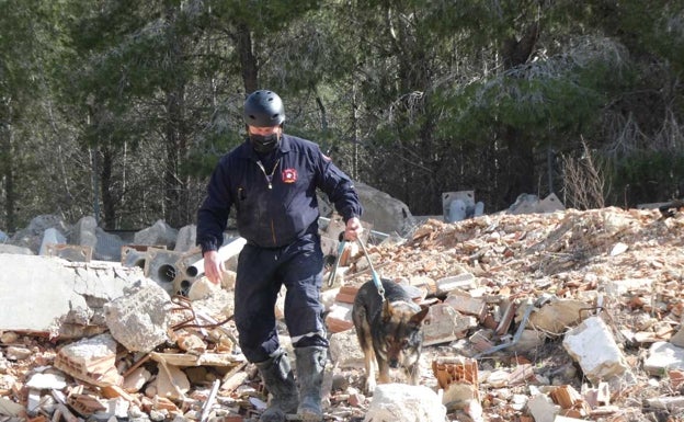 Imagen principal - La Nucía: Práctica de equipos de rescate canino | Los alumnos del IES de La Nucía, ‘víctimas’ para los mejores equipos de rescate caninos de España