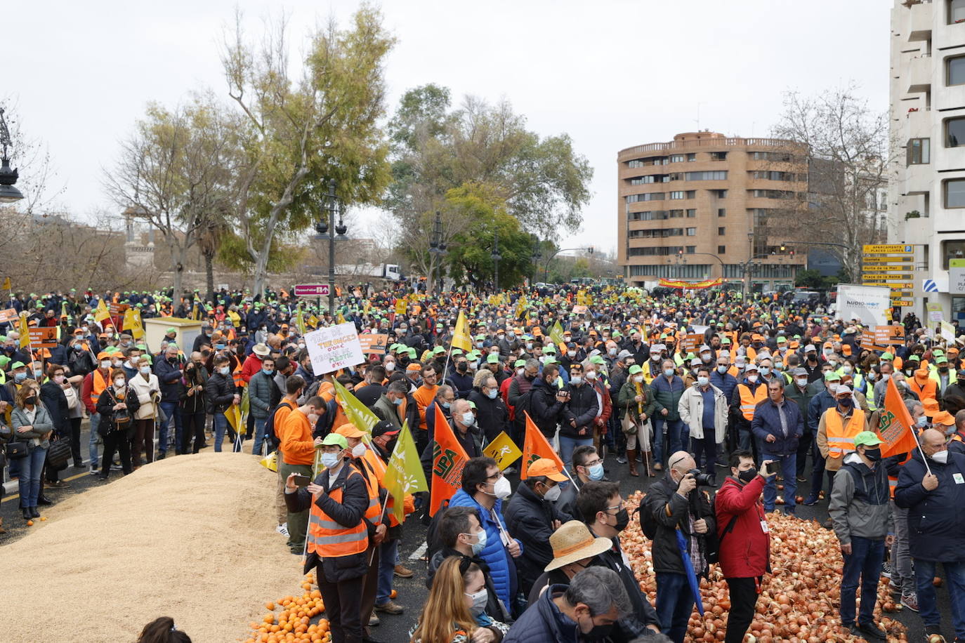 Fotos: Una tractorada recorre la ciudad de Valencia