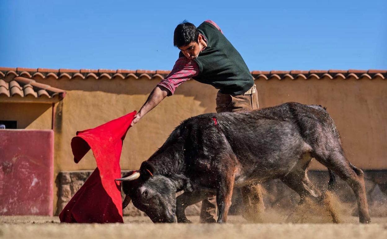 Miguel Ángel Perera, torero | Miguel Ángel Perera: «Se torea como se es y como se está»