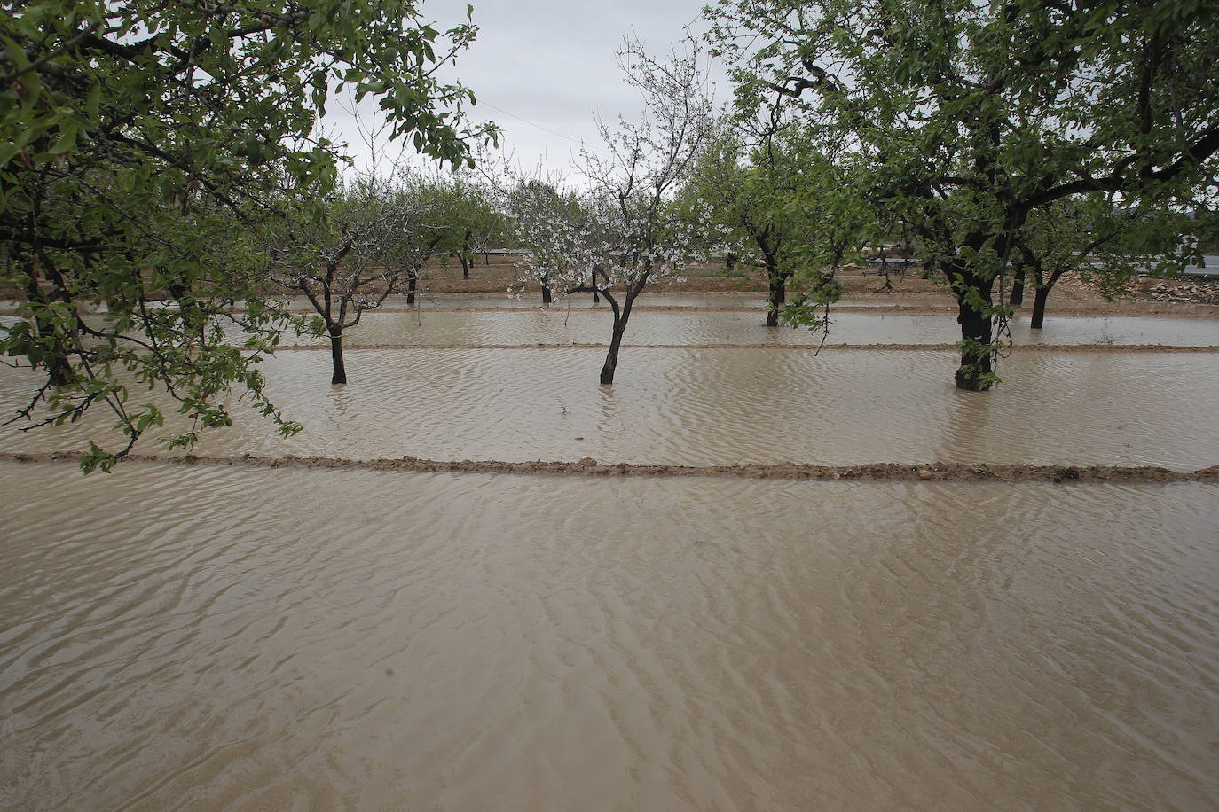 La lluvia torrencial en el Vinalopó deja registros históricos en solo 1 hora. 