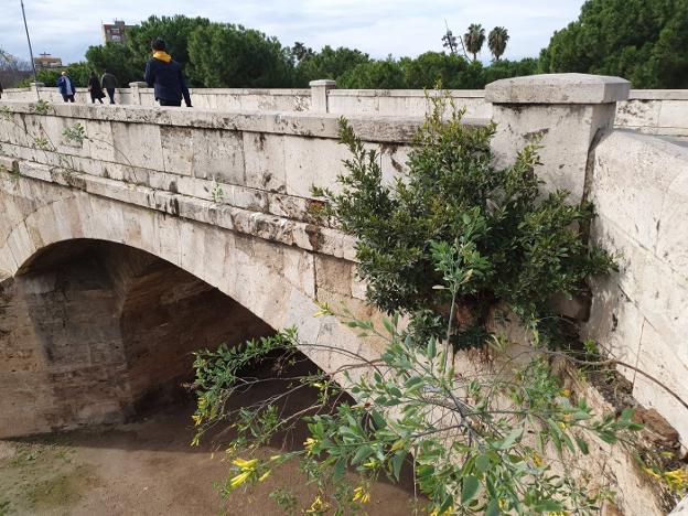 El puente de San José se degrada cinco años después de su cierre al tráfico