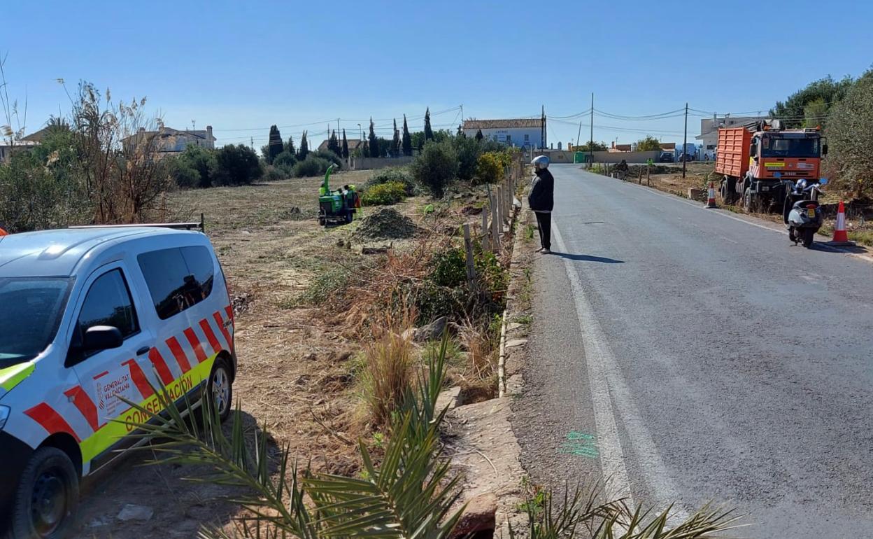 Imagen de los operarios durante el primer día de las actuaciones