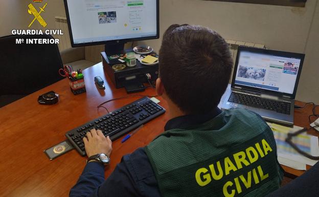 El aviso de la Guardia Civil: el correo fraudulento con el que pueden robarte los datos bancarios