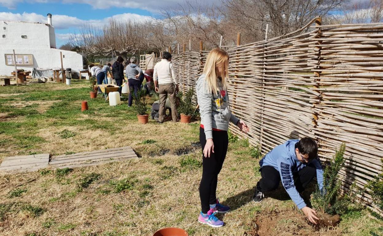 Un grupo de vecinos en una plantación. 