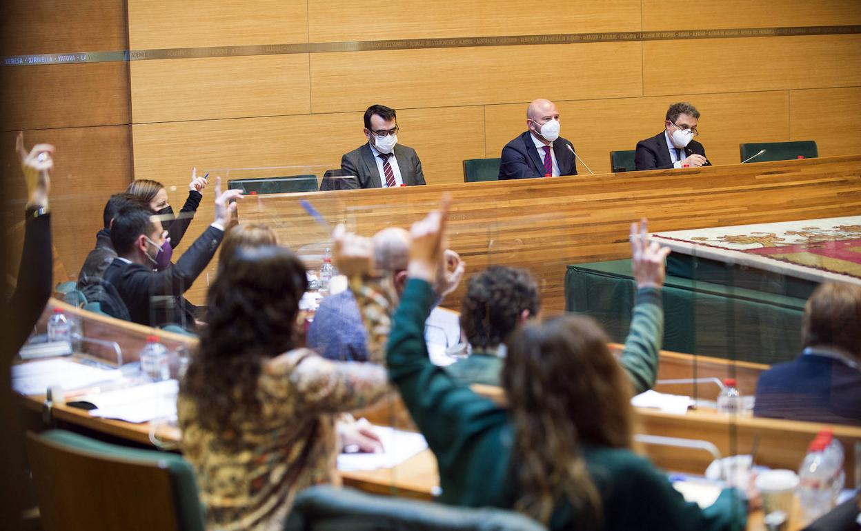 El pleno de la corporación provincial. 