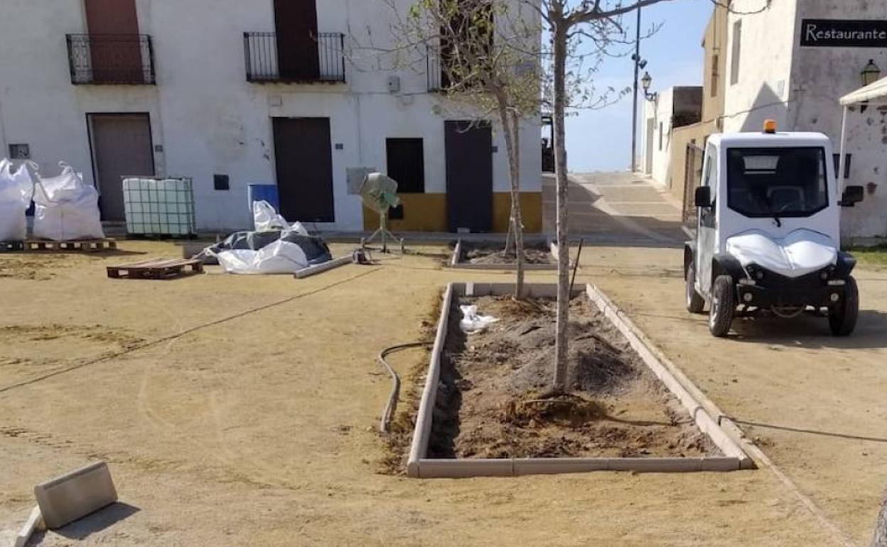 Trabajos de jardinería en Tabarca. 