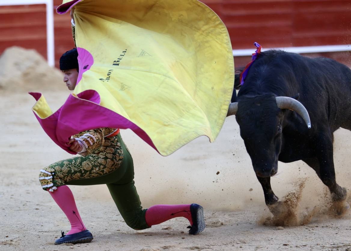 Fotos: Primera novillada de las Fallas 2022