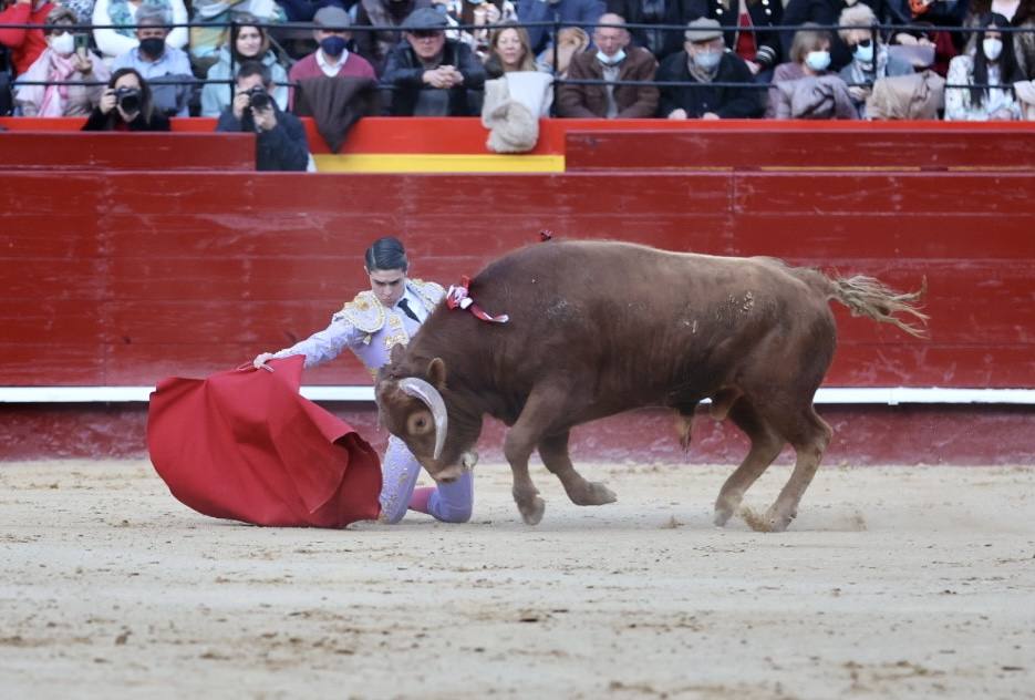 Fotos: Primera novillada de las Fallas 2022