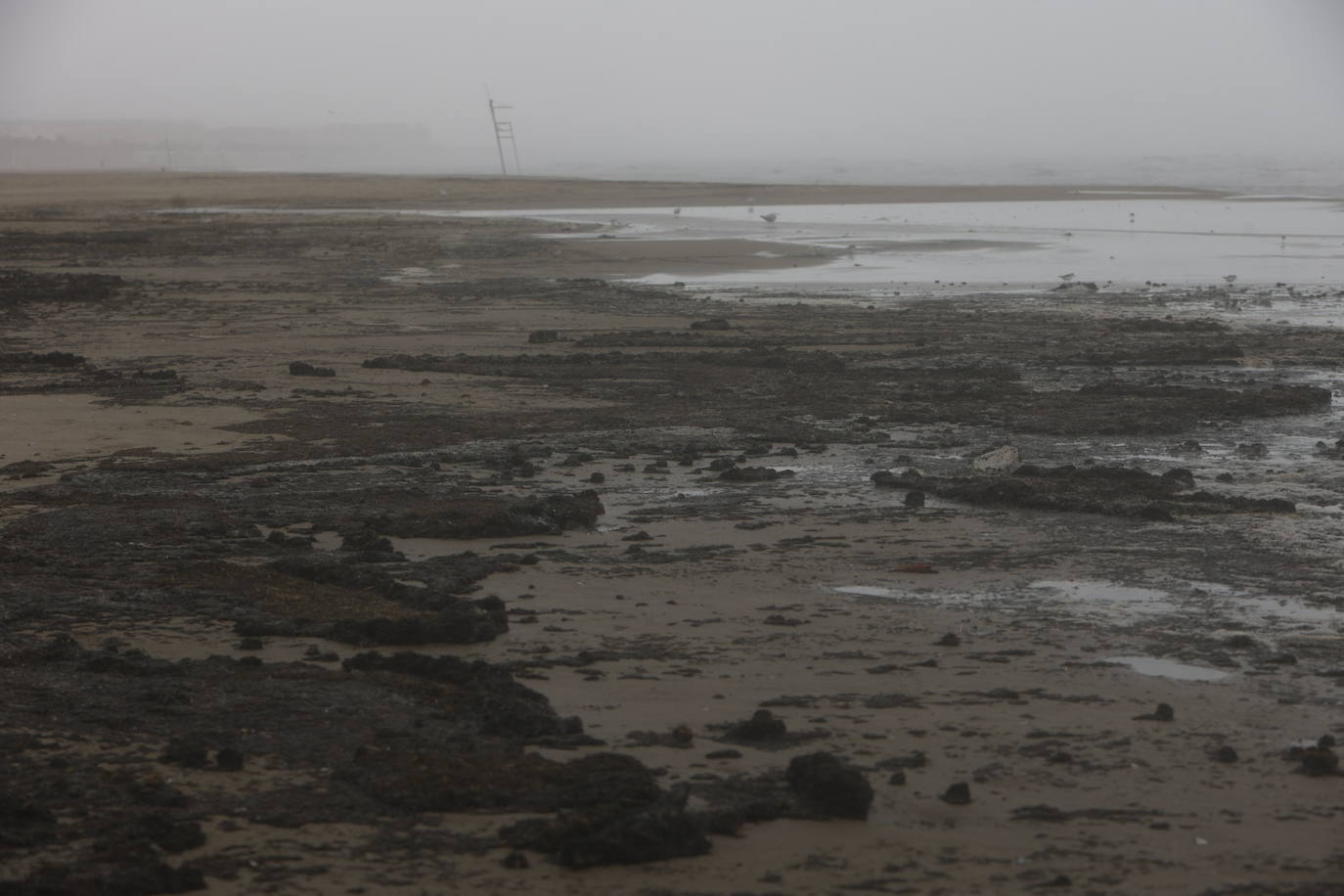 El paseo marítimo se ha llenado de arena por el temporal de viento en Valencia este 15 demarzo. 