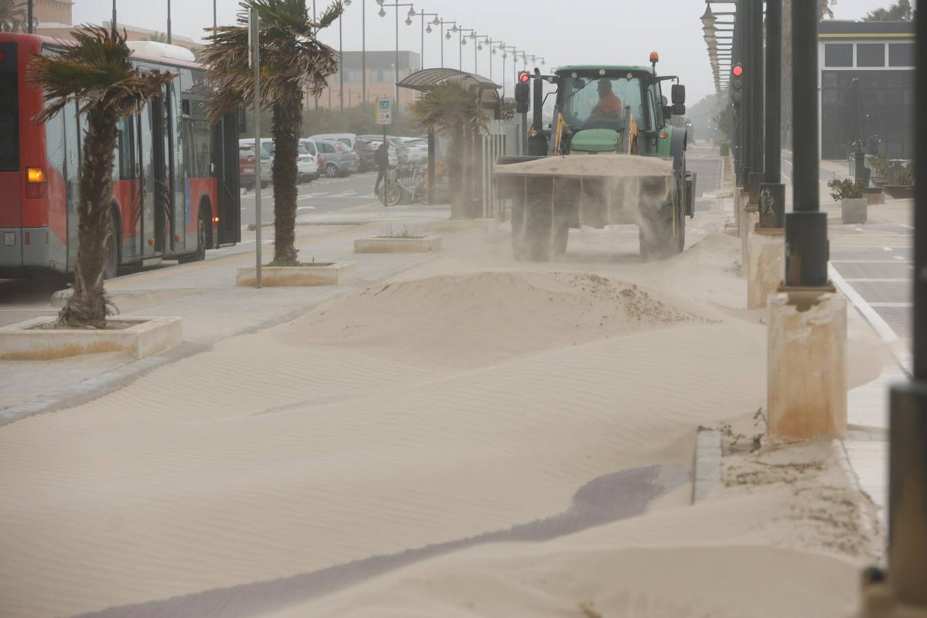 El paseo marítimo se ha llenado de arena por el temporal de viento en Valencia este 15 demarzo. 