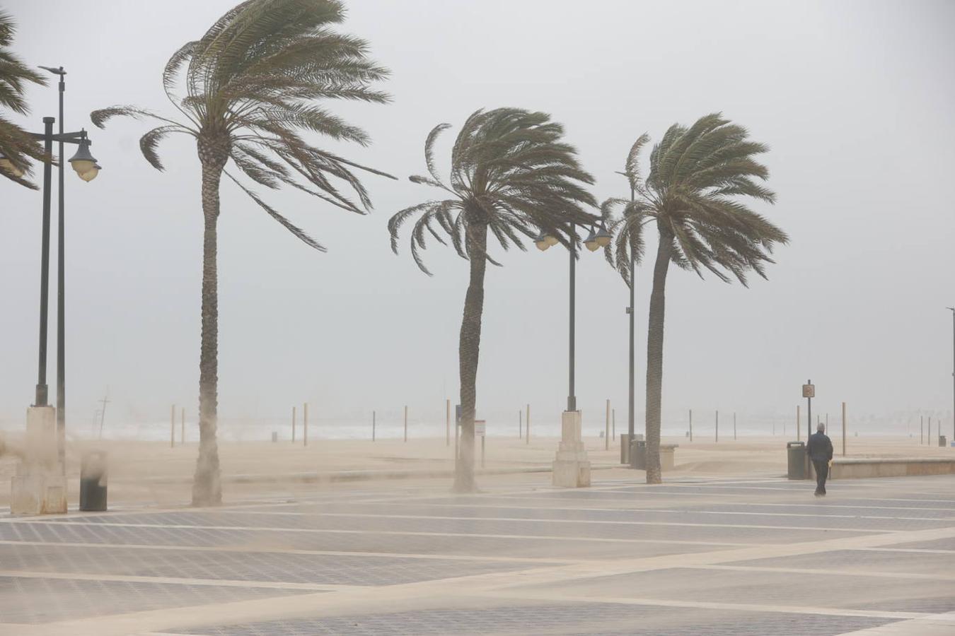 El paseo marítimo se ha llenado de arena por el temporal de viento en Valencia este 15 demarzo. 