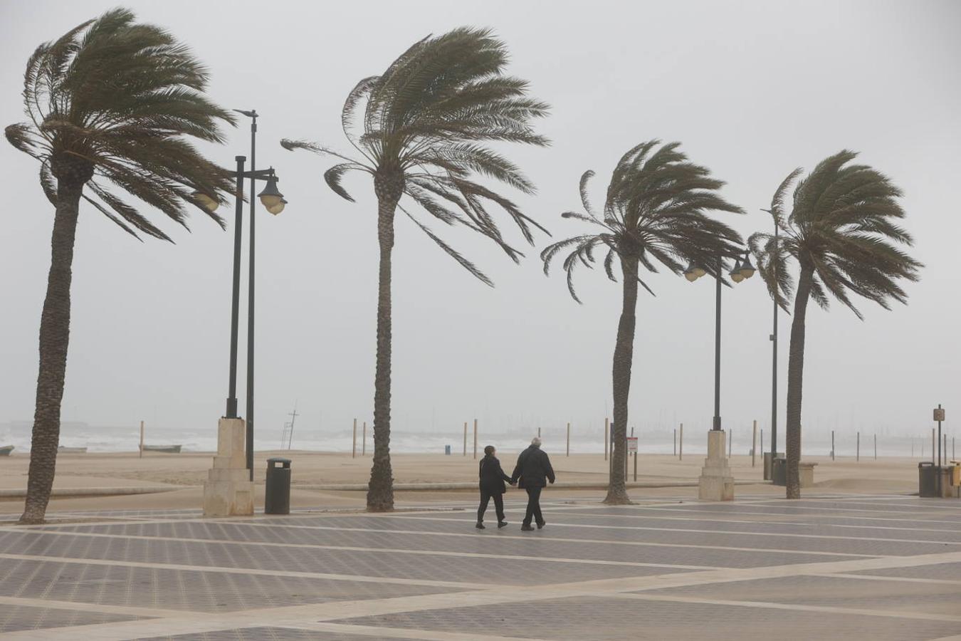 El paseo marítimo se ha llenado de arena por el temporal de viento en Valencia este 15 demarzo. 