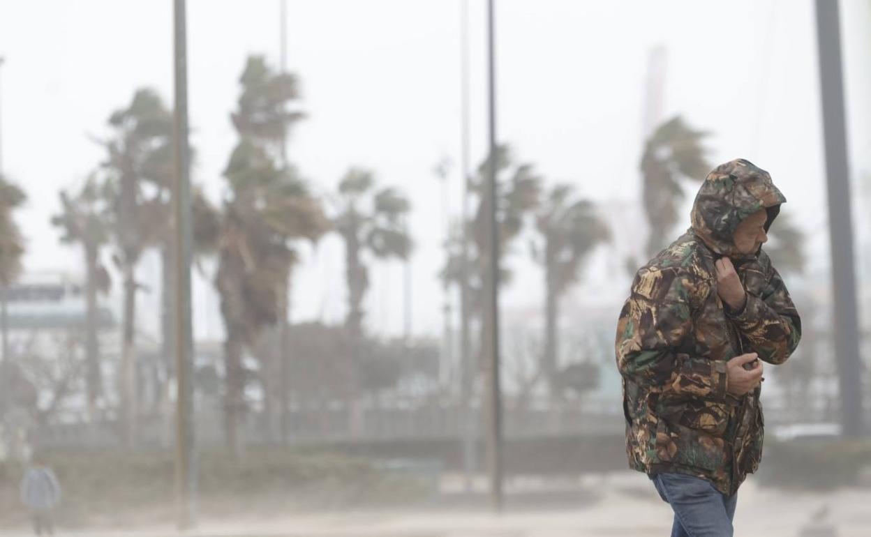 Fuerte viento este martes en Valencia. 