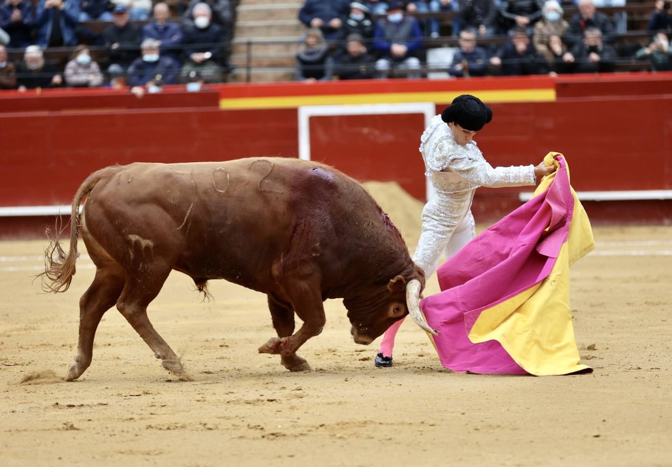 Este miércoles se ha reanudado la Feria Taurina de Fallas 2022 en la Plaza de Toros de Valencia. Han hecho el paseíllo los novillos de El Pilar para 'El Niño de las Monjas', Álvaro Alarcón y Manuel Perera.