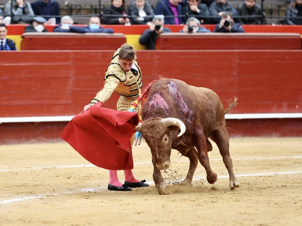 Este miércoles se ha reanudado la Feria Taurina de Fallas 2022 en la Plaza de Toros de Valencia. Han hecho el paseíllo los novillos de El Pilar para 'El Niño de las Monjas', Álvaro Alarcón y Manuel Perera.