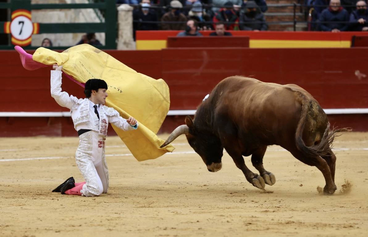 Este miércoles se ha reanudado la Feria Taurina de Fallas 2022 en la Plaza de Toros de Valencia. Han hecho el paseíllo los novillos de El Pilar para 'El Niño de las Monjas', Álvaro Alarcón y Manuel Perera.