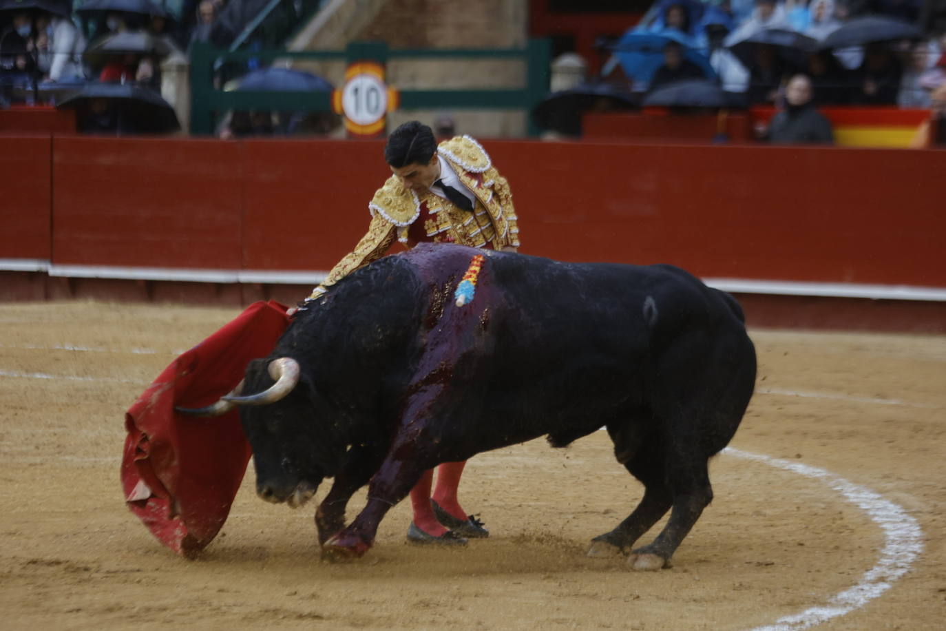 Fotos: Corrida de toros de las Fallas 2022: jueves 17 de marzo