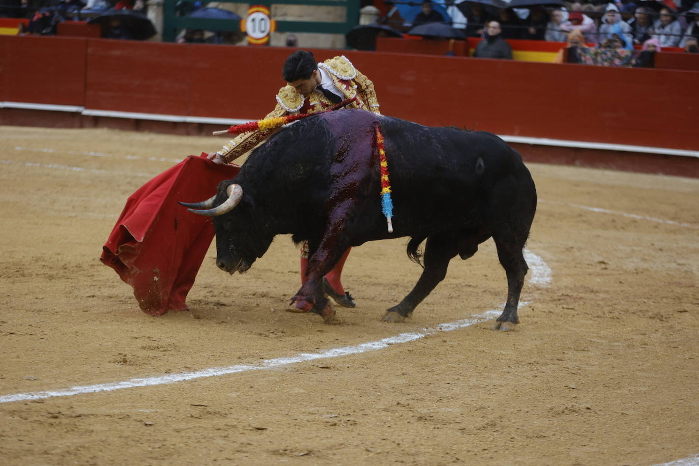 Fotos: Corrida de toros de las Fallas 2022: jueves 17 de marzo