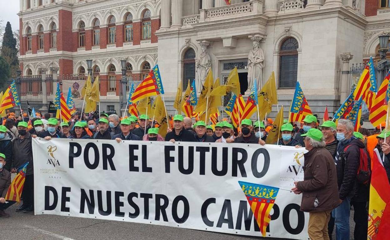 Manifestación agricultores Madrid | Presidente de AVA: «no queremos dinero, queremos leyes y que el Gobierno nos defienda en Bruselas»