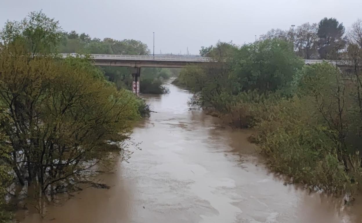 Crecida del río Júcar a su paso por Alzira este martes. 