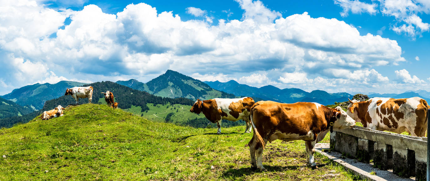 ALPES (Austria, Alemania, Francia, Italia, Liechtenstein, Mónaco, Eslovenia y Suiza)