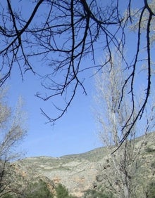 Imagen secundaria 2 - Rutas en Valencia | Peña María, una joya natural a pies del río Turia