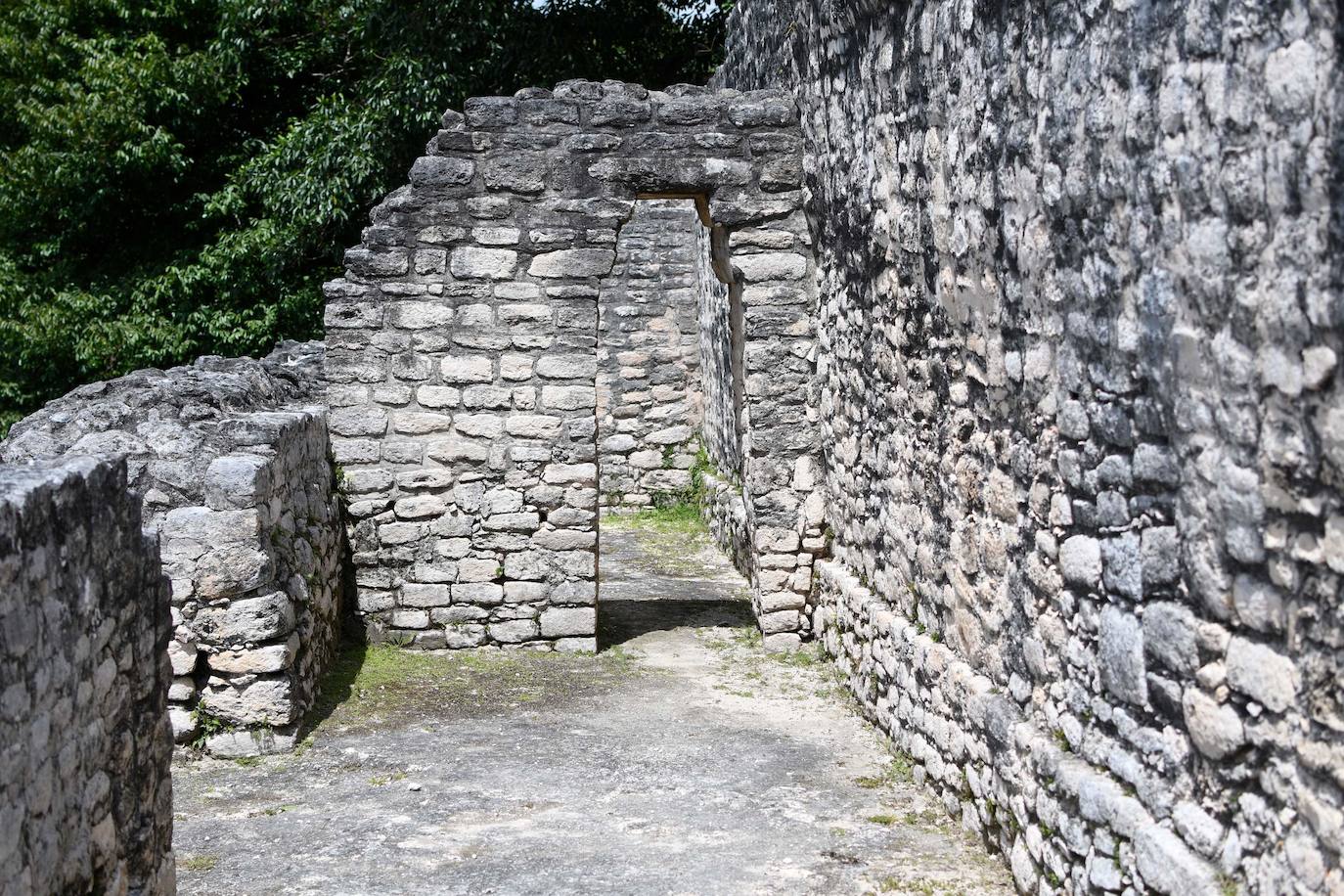 Muchos de los turistas que se desplazan hasta Belice lo hacen para bucear en su asombrosa barrera de coral, sin embargo este país de la costa este de América Central cuenta con una gran cultura maya. Se estima que en Belice existen más de 900 importantes restos arqueológicos de esta importante civilización antigua. Los mayas estuvieron presentes allí desde el 2000 a. C. Vivían especialmente en pantanos costeros, habitaban cayos y explotaban la riqueza de las montañas, celebrando sus ceremonías en el interior de cuevas. Como si fueran unos visitantes más, el príncipe Guillermo y su esposa, la duquesa de Cambridge, se han adentrado en la selva del país con una visita a Caracol, una ciudad maya de la época precolombina que ha sido designada como una reserva arqueológica y que está ubicada en el distrito Cayo. 