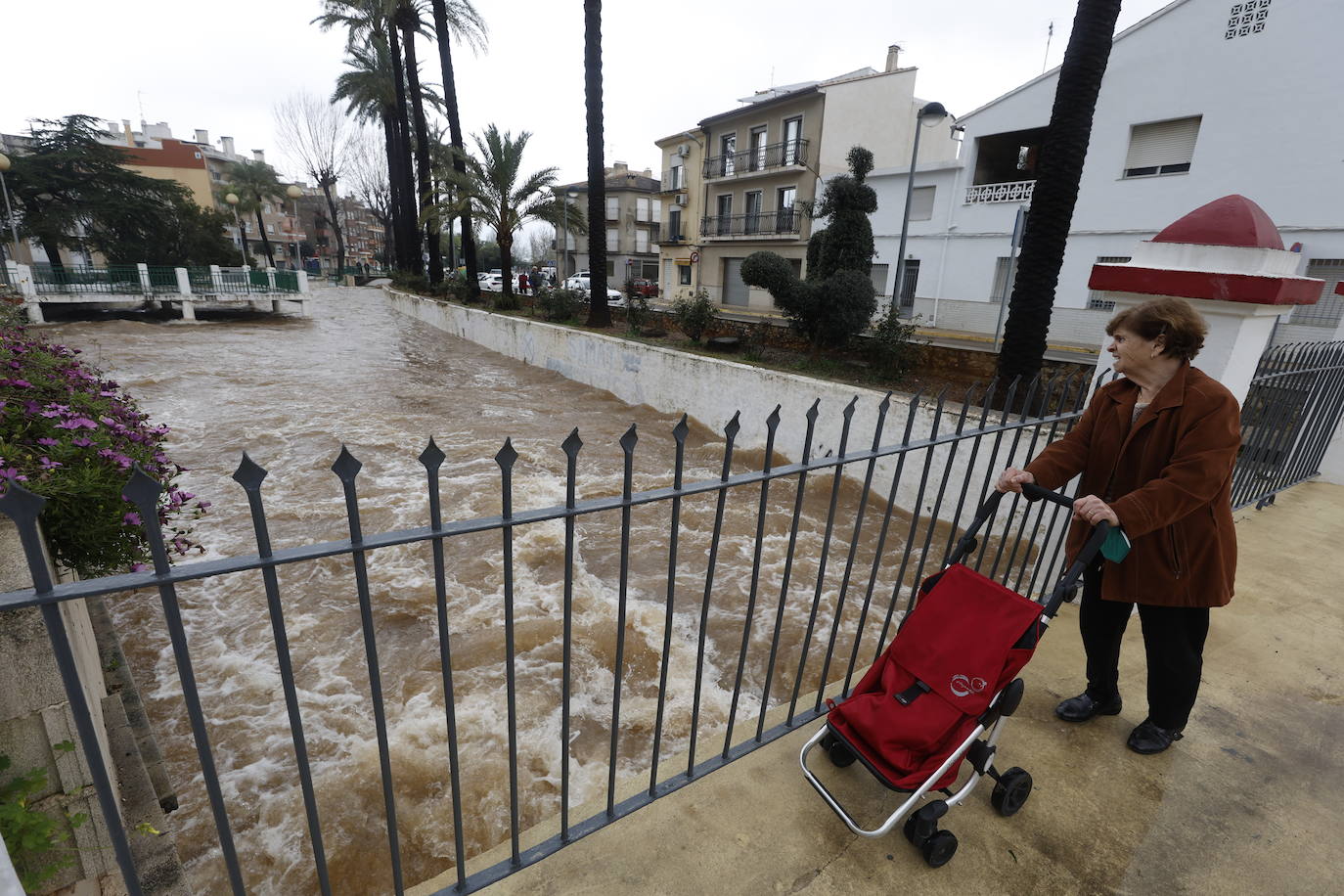 Tras nueve días consecutivos de lluvia, el río Vaca, a su paso por Simat de Valldigna, se ha desbordado. 